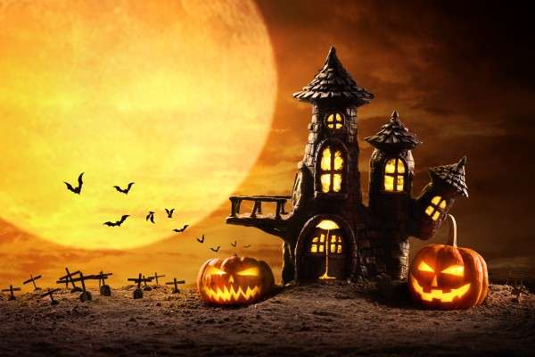 Photo halloween pumpkins and castle spooky in night of full moon and bats flying
